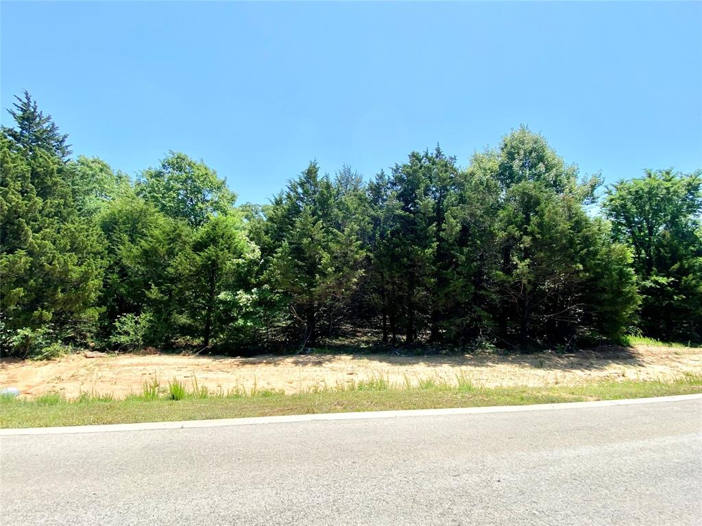 9A Pine Hills Drive - Photo 3