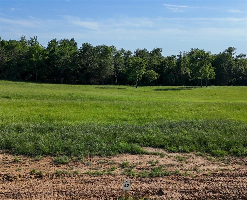 399 Harborside Terrace - Photo 2
