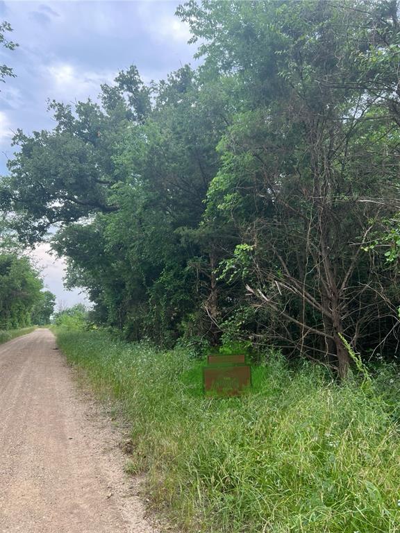 Tract 6 County Rd 14720 - Photo 3