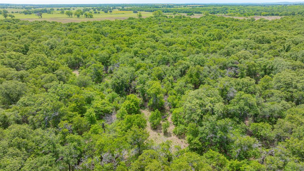 0000 County Road 380 - Photo 22