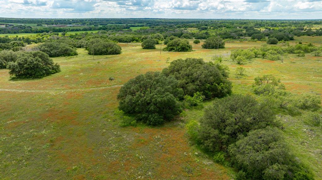 TBD County Road 277 - Photo 12