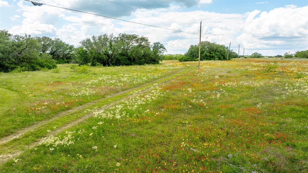 TBD County Road 277 - Photo 14