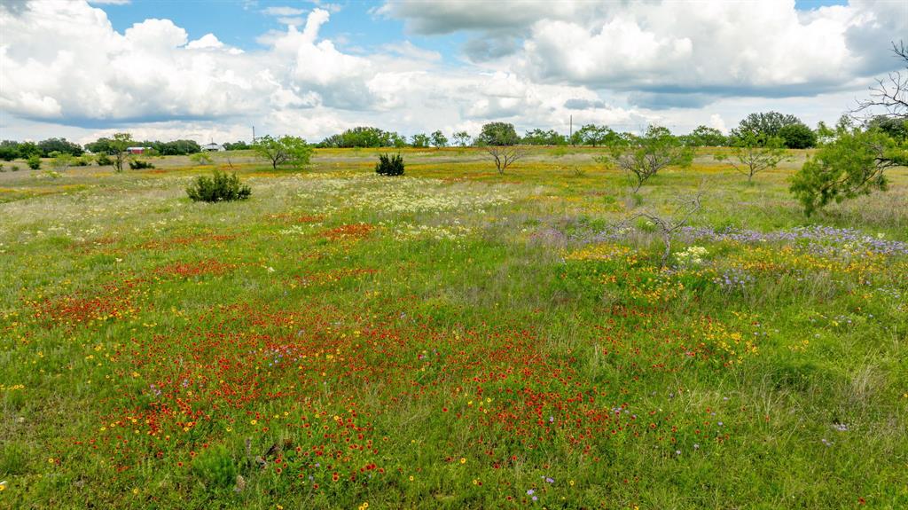 TBD County Road 277 - Photo 28