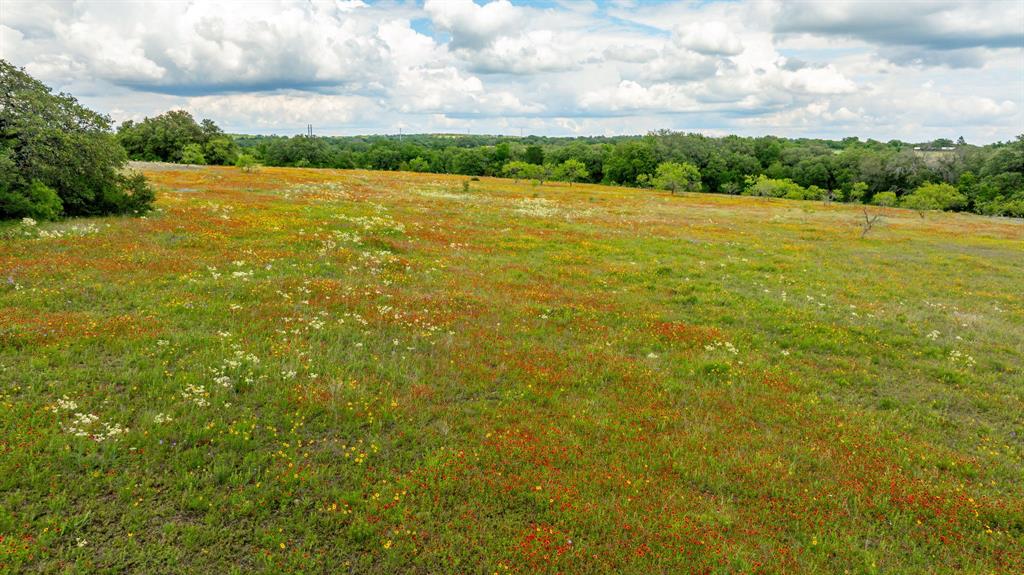 TBD County Road 277 - Photo 29