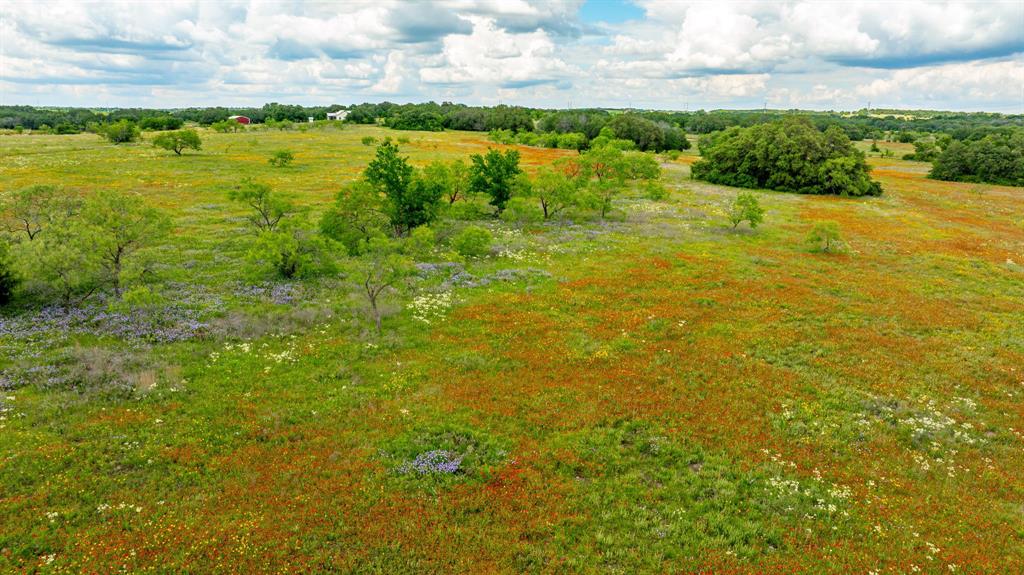 TBD County Road 277 - Photo 8
