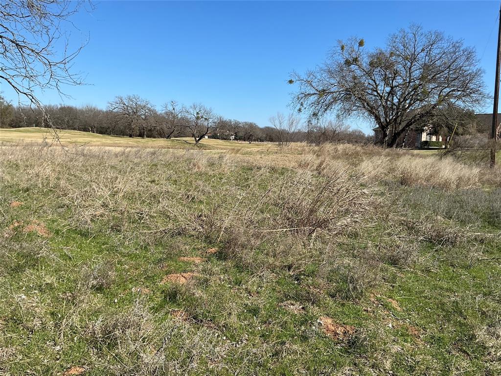 27215 Meadowmore Drive - Photo 1