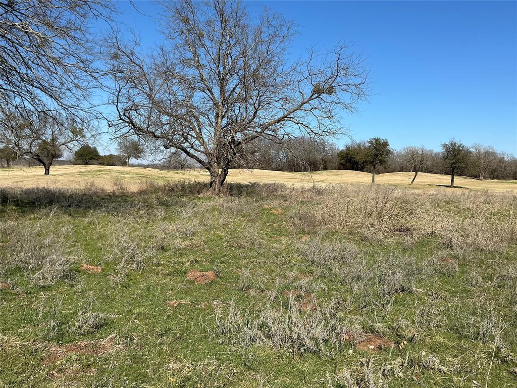 27215 Meadowmore Drive - Photo 16