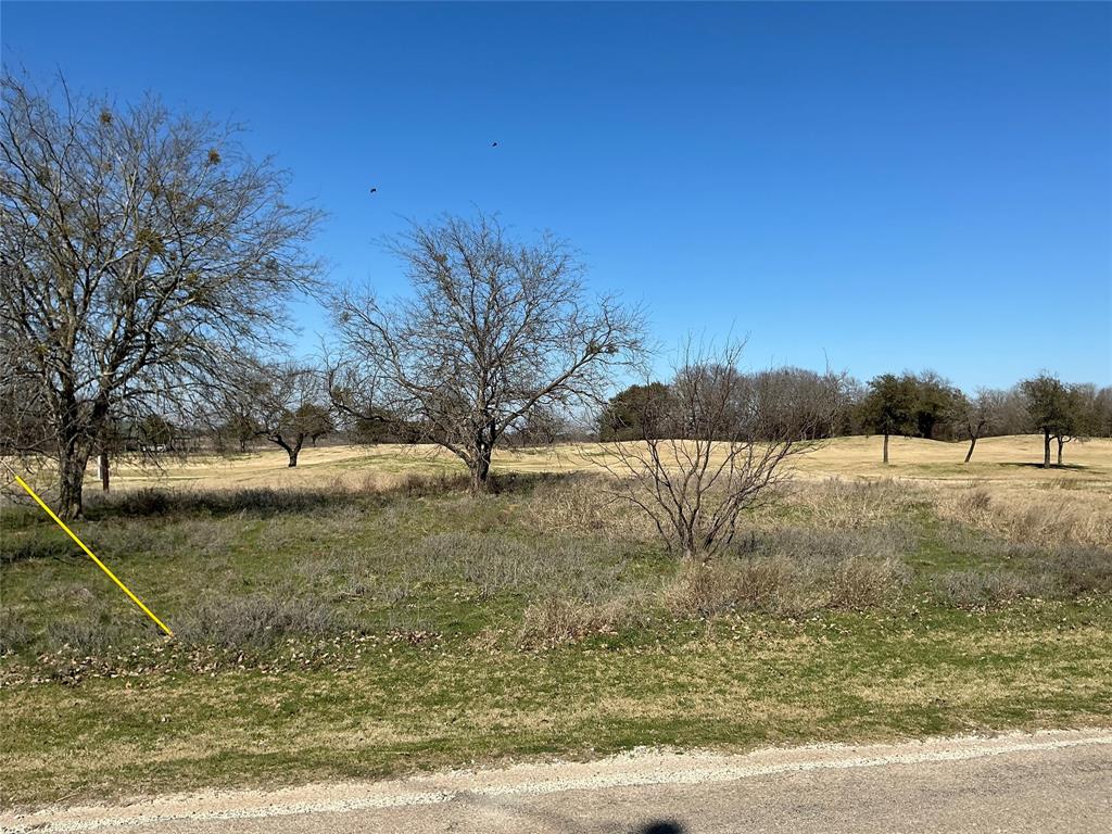27215 Meadowmore Drive - Photo 2