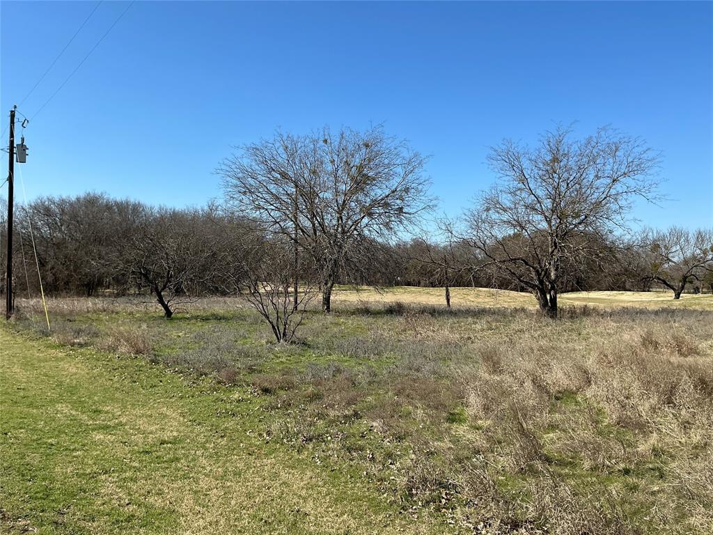 27215 Meadowmore Drive - Photo 5