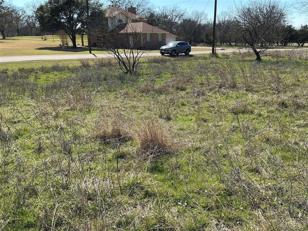 27215 Meadowmore Drive - Photo 6