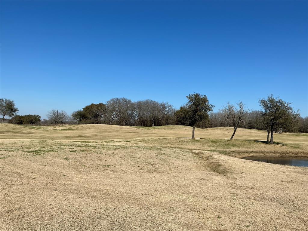 27215 Meadowmore Drive - Photo 9
