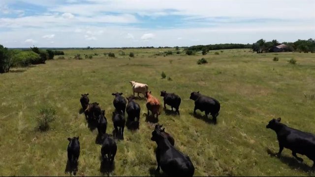 7.5 acres Keyes Road