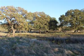 151 ac TBD W Hwy 114 - Photo 14