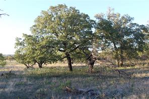 151 ac TBD W Hwy 114 - Photo 8