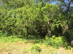 8513 Retreat Boulevard - Photo 12