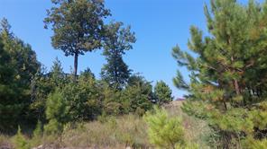 92ac County Rd 4171 - Photo 5