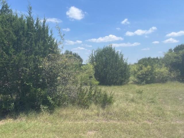 39333 Cedar Trail - Photo 1