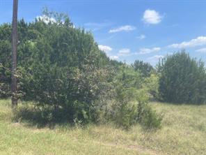 39333 Cedar Trail - Photo 2