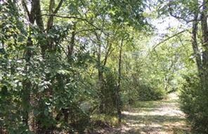 TBD County Road 3303 - Photo 10