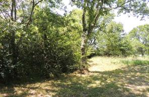 TBD County Road 3303 - Photo 11