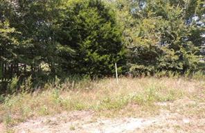 TBD County Road 3303 - Photo 14