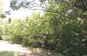 TBD County Road 3303 - Photo 2