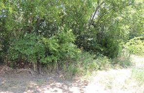 TBD County Road 3303 - Photo 21