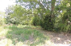TBD County Road 3303 - Photo 3