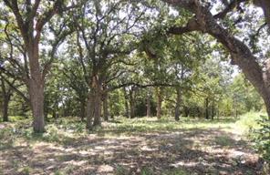 TBD County Road 3303 - Photo 4