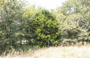 TBD County Road 3303 - Photo 6