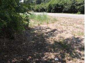 TBD County Road 3303 - Photo 7
