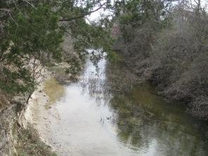 135 Acres TBD Harmon Road - Photo 11