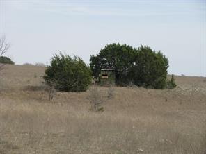 135 Acres TBD Harmon Road - Photo 14