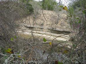 135 Acres TBD Harmon Road - Photo 22