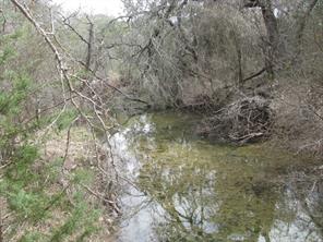 135 Acres TBD Harmon Road - Photo 6