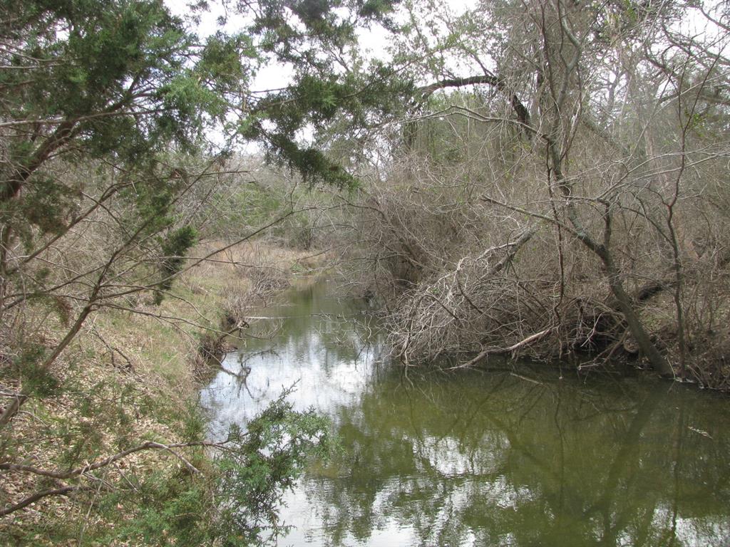 48 Acres TDB Harmon Road - Photo 1