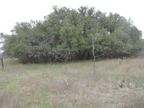 48 Acres TDB Harmon Road - Photo 10
