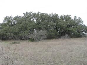 48 Acres TDB Harmon Road - Photo 13