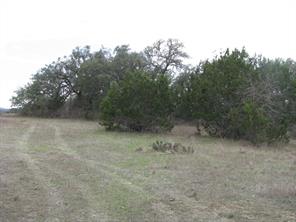 48 Acres TDB Harmon Road - Photo 16
