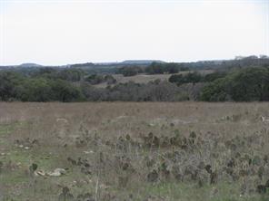 48 Acres TDB Harmon Road - Photo 17