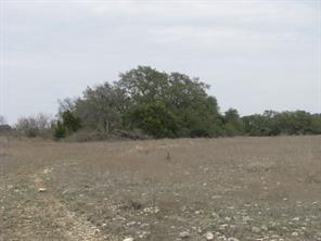 48 Acres TDB Harmon Road - Photo 19