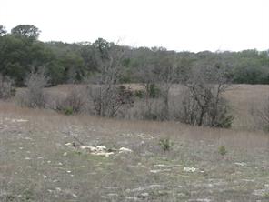 48 Acres TDB Harmon Road - Photo 21