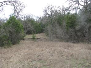 48 Acres TDB Harmon Road - Photo 22