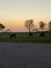 000 McConnell Road - Photo 3