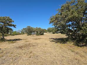 133 Scenic Ridge Drive - Photo 10