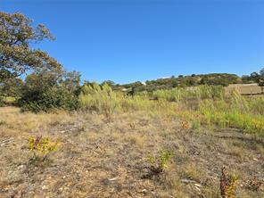 133 Scenic Ridge Drive - Photo 13