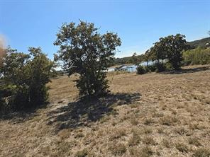 133 Scenic Ridge Drive - Photo 3
