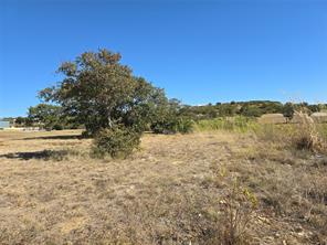 133 Scenic Ridge Drive - Photo 8