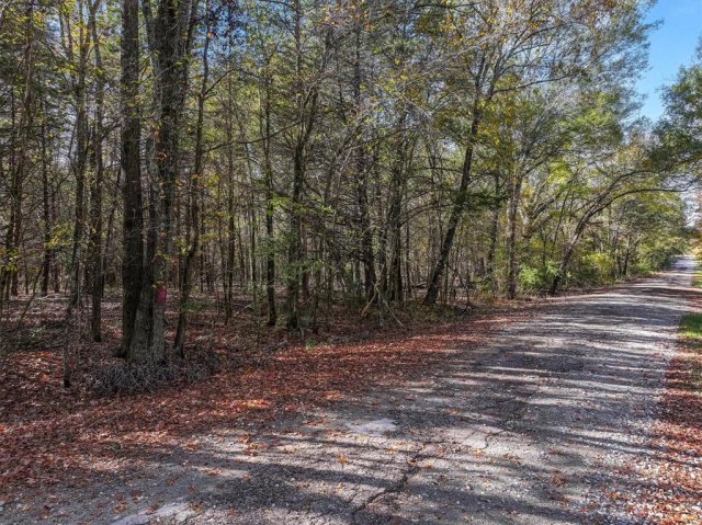 TBD VZ County Road 3117