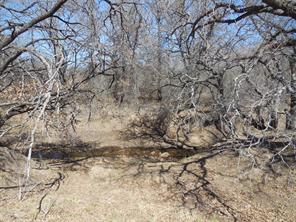 426 County Road 194 - Photo 30